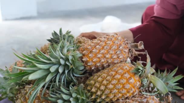 Kobiety Wybierają Świeże Ananasy Targu Owocowym Ananas Ręce Kobiety — Wideo stockowe
