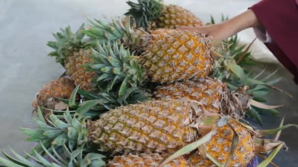 Vrouwen Kiezen Verse Ananas Fruitmarkt Ananas Hand Van Vrouw — Stockvideo