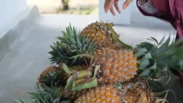 Kadınlar Taze Ananası Meyve Pazarından Seçerler Ananas Kadının Elinde — Stok video