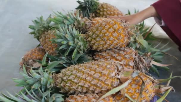 Wanita Memilih Nanas Segar Pasar Buah Nanas Tangan Wanita Itu — Stok Video