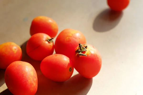 Frische Tomaten Auf Dem Tisch Mit Hartem Licht — Stockfoto