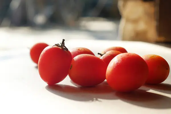 Frische Tomaten Auf Dem Tisch Mit Hartem Licht — Stockfoto