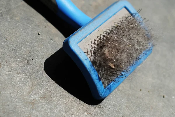 Kamm Zur Pflege Von Tierhaaren Auf Grauem Hintergrund — Stockfoto