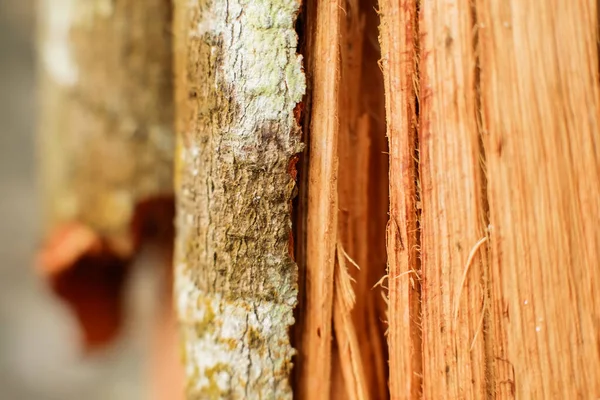 Abstrakcyjny Szczegół Łamanego Drewna Paskami — Zdjęcie stockowe
