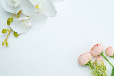 Beyaz orkide ve çiçek tomurcukları beyaz arka planda dümdüz yatıyordu. Tropik çiçekler. Tatiller, Kadınlar Günü, Çiçek kartları, düzlük, fotokopi alanı. Pankart