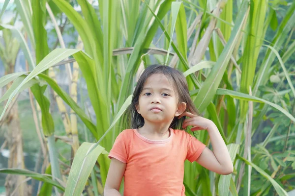 Happy Expression Indonesian Little Girl Loose Hair Sugar Cane Background — Stock Photo, Image