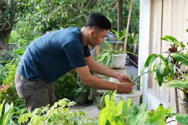  Evinin terasındaki Asyalı genç adam diğer bitkilerle birlikte bitki ve sularla ilgileniyor..