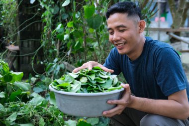 Asyalı bir adam, havuzda çimen yaprağı tutuyor.