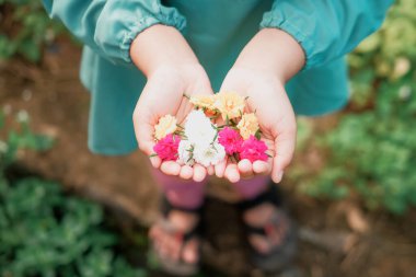 Küçük kızın ellerindeki çiçekler bulanık arka planda.