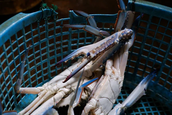 Fresh seafood crab, Fresh raw blue crab seafood in basket