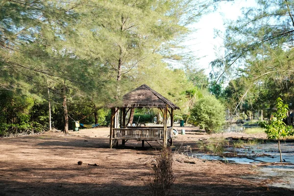 Vieux Gazebo Sous Sapin Été — Photo