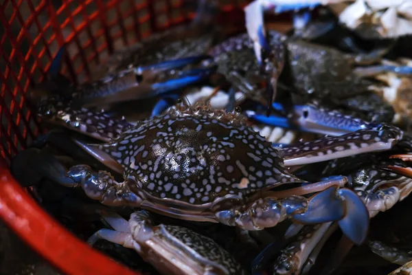 Fresh seafood crab, Fresh raw blue crab seafood in a basket