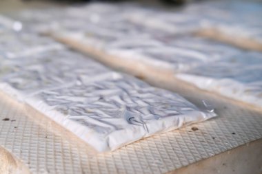 Fermented soybeans in plastic packaging or commonly called (Tempeh)