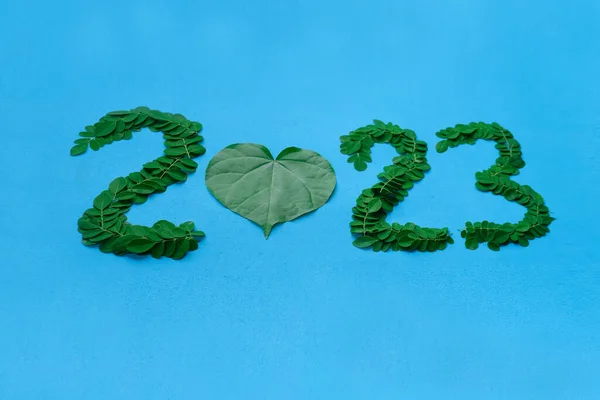 2023 Made Natural Leaf Plants Light Blue Background Health Healthy — стоковое фото