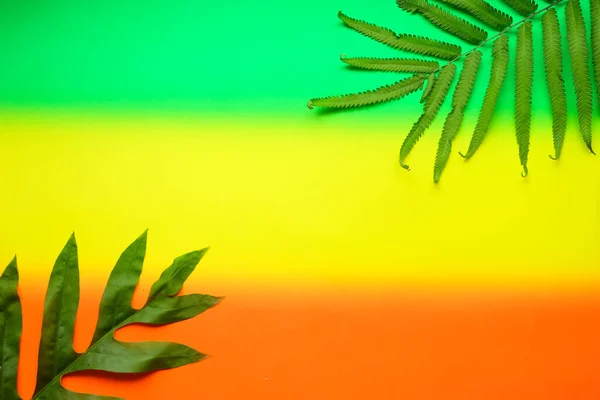 Tropical leaf banner on green yellow orange gradient background