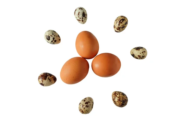 Dairesel Desenli Birkaç Bıldırcın Yumurtası Beyaz Arka Planda Tavuk Yumurtası — Stok fotoğraf