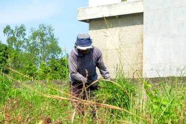 Bir adam sığırlarını beslemek için bir orakla ot arar.