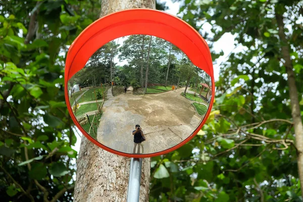 Round convex mirror at the crossroads in the forest on the background of trees