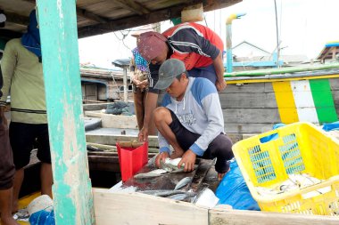Lampung, Endonezya, Ekim 07 2022: Balıkçılar veya mürettebat yeni yakalanan ve tartılacak bir sepetteki balıkları sınıflandırıyor.