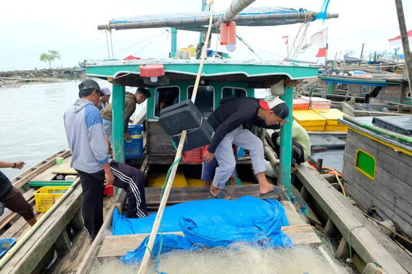 Lampung Indonesia October 2022 Fishermen Crew Members Sort Fish Basket — Stock Photo, Image