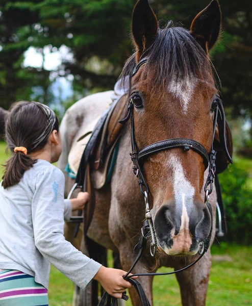 Oigenkännlig Kaukasiska Flicka Som Håller Häst Vertikalt Med Kopieringsutrymme — Stockfoto