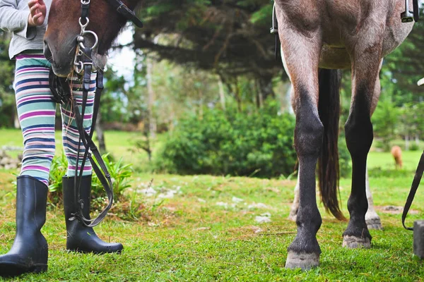 頭の馬に触れながら馬を保持している認識できない女の子の足のショット 水平だ コピースペース付き — ストック写真