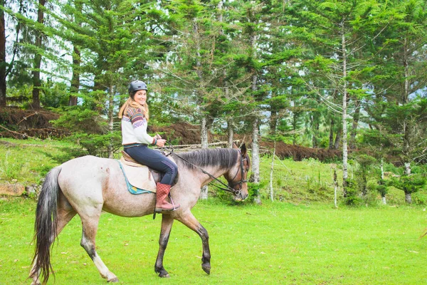 牧草地で灰色の馬に乗っている間 アンデスのセーターを着てカメラで笑顔の白人女性の側面図 水平だ コピースペース付き — ストック写真