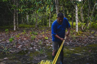 Amerikan yerlisi bir kütükten bitki dokusu alıyor. Ormanda dikiliyorum. Yatay olarak. Kopyalama alanı ile.