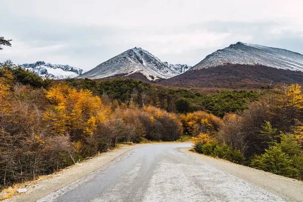 Wide Angle View Asphalt Road Autumn Landscape Forest Snowy Mountain — Stockfoto