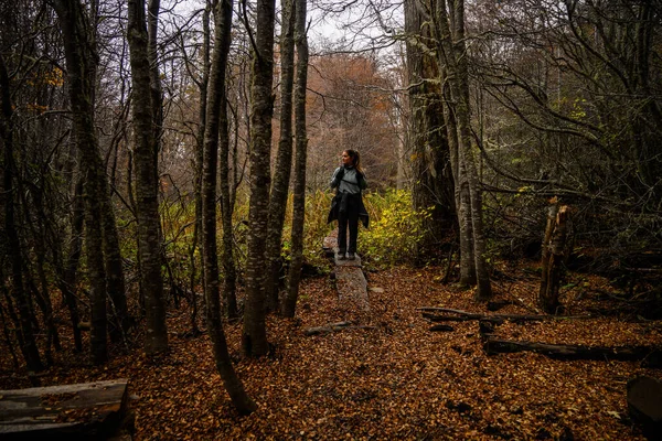 Wide Angle View Caucasian Woman Walking Forest Doing Some Hike — Stockfoto