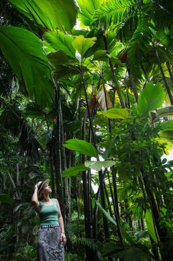 Şapkalı bir kadın tropikal ağaçların arasından yukarı bakar.