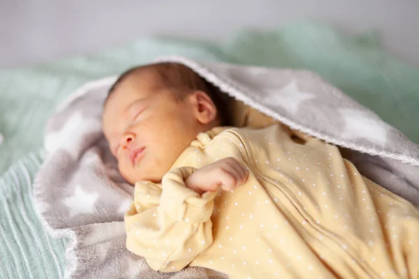 新生儿睡在毯子里 高质量的照片 — 图库照片