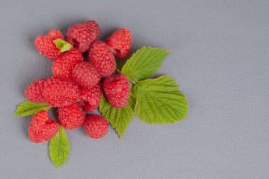 Gri arkaplan üzerinde ahududu boş alan