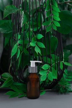 Yeşil yeşillik arka planında sabun dağıtıcısı. Yüksek kalite fotoğraf