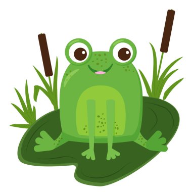 Yaprağın üzerinde oturan komik yeşil kurbağa