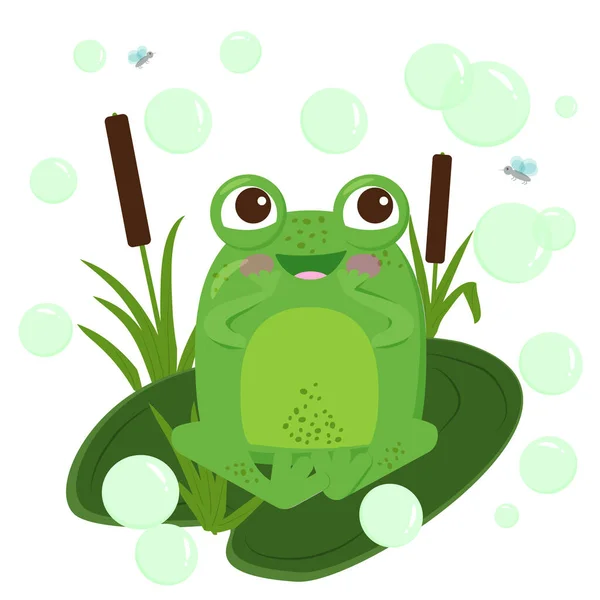 Yaprağın üzerinde oturan keyifli yeşil bir kurbağa