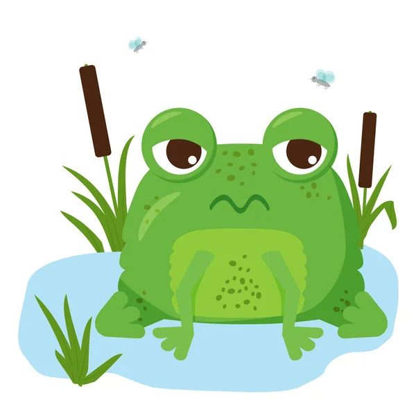 Yorgun yeşil kurbağa yaprağın üzerinde oturuyor..