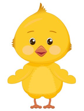 Komik, şaşırmış sarı piliç. Pembe yanakları ve beyaz arka planda izole edilmiş geniş gözleri olan sevimli bir kuş.