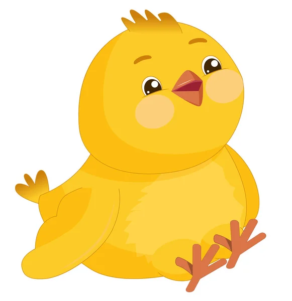 Lustiges neugieriges gelbes Huhn. Netter Vogel mit rosigen Wangen und großen Augen auf weißem Hintergrund. — Stockvektor