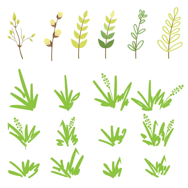 Set of wild herbs, herbs and cereals, young leaves and willow twigs, in doodle style, on a white background. — Stock Vector