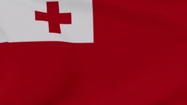 Tonga vatanseverliğinin bayrağı Ulusal özgürlük, kusursuz döngü