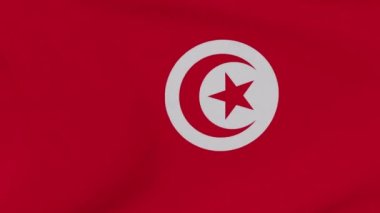 Tunus vatanseverliği bayrağı Ulusal özgürlük, kusursuz döngü