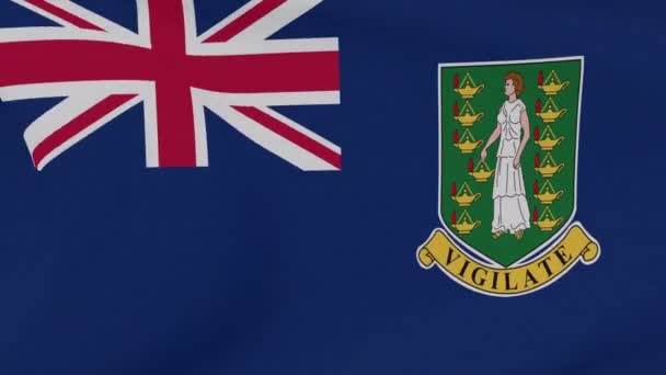 Drapeau Îles Vierges britanniques patriotisme liberté nationale, boucle transparente — Video