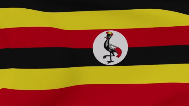Vlajka Uganda vlastenectví národní svoboda, bezproblémová smyčka — Stock video