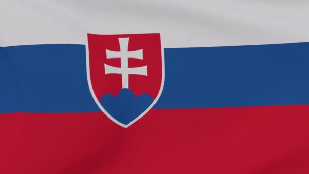 Slovakya vatanseverliği bayrağı Ulusal özgürlük, kusursuz döngü — Stok video