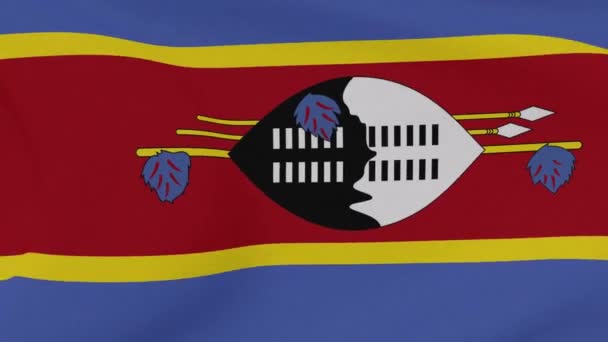Bayrak Eswatini vatanseverlik ulusal özgürlük, kusursuz döngü — Stok video