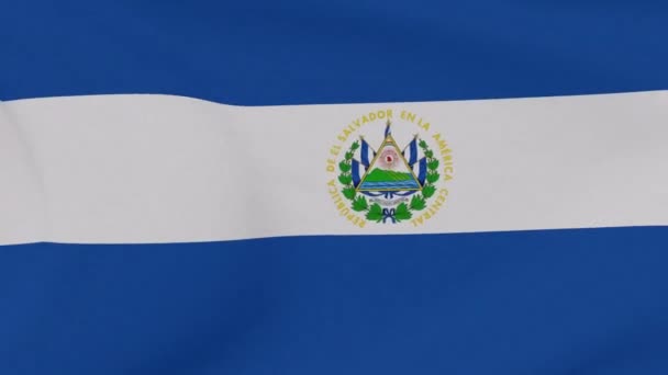 Flaga Salvador patriotyzm wolność narodowa, płynna pętla — Wideo stockowe