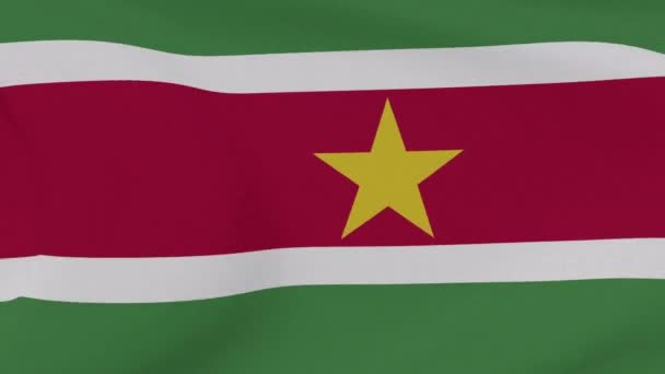 Drapeau Suriname patriotisme liberté nationale, boucle transparente — Video
