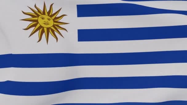 Bandeira Uruguay patriotismo liberdade nacional, loop sem emenda — Vídeo de Stock