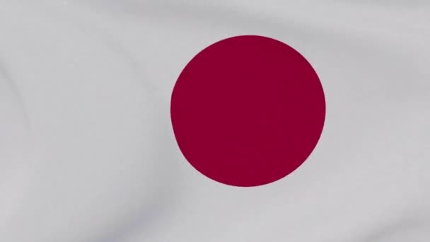 Прапор Японії патріотизм національна свобода, безшовна петля — стокове відео